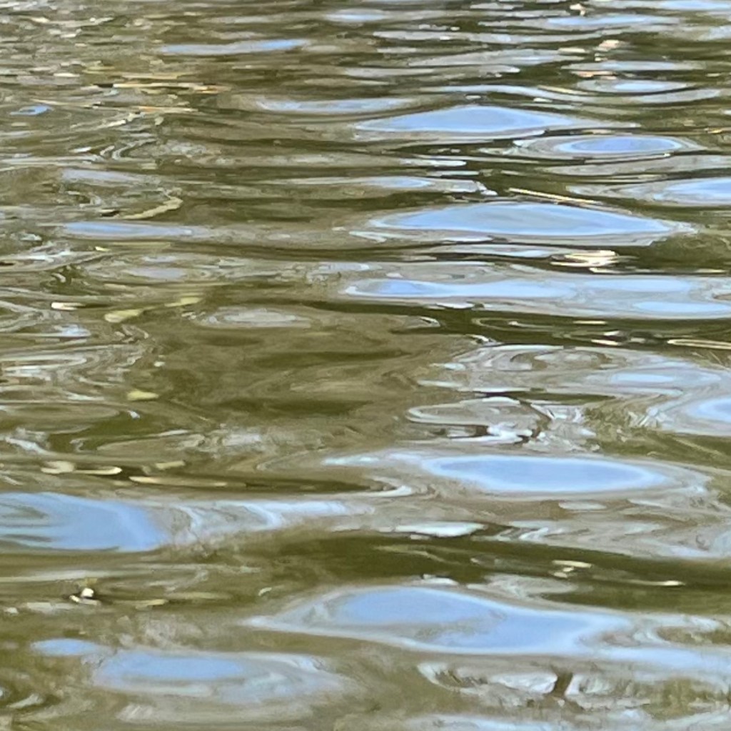 Food Justice – In This&nbsp;Moment